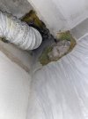 IMG_3225.jpeg IMG_3225.jpeg