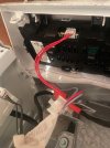 IMG_5371.jpeg
