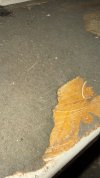 IMG_1326.jpeg