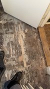 IMG_1336.jpeg