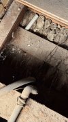 IMG_1350.jpeg