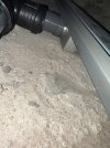 IMG_1949.jpeg