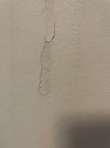 IMG_1606.jpeg