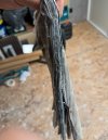 IMG_1593.jpeg