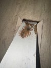 IMG_4597.jpeg