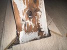 IMG_4595.jpeg