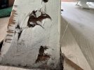 IMG_4573.jpeg