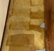 IMG_4643.jpeg