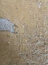IMG_4646.jpeg