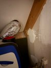 IMG_6313.jpeg