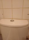 20251026_072343.jpg 20251026_072343.jpg