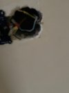 IMG_6690.jpg IMG_6690.jpg
