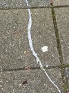 IMG_2841.jpeg