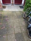 IMG_2840.jpeg