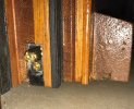 IMG_1189.jpeg