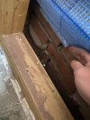 IMG_4342.jpeg IMG_4342.jpeg