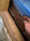IMG_4342.jpeg IMG_4342.jpeg
