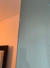 IMG_7797.jpeg