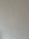 IMG_2810.jpeg IMG_2810.jpeg