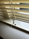 IMG_4434.jpeg