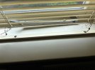 IMG_4435.jpeg