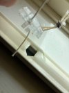 IMG_4436.jpeg