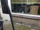 IMG_0420.jpeg