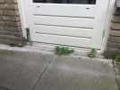 IMG_0421.jpeg