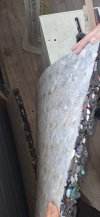IMG_0072.jpeg