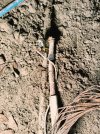 IMG20260618113737.jpg