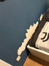 IMG_8941.jpeg