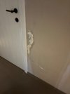 IMG_8942.jpeg