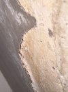 IMG_8937.jpeg