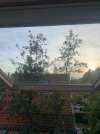 velux 2.jpeg velux 2.jpeg