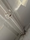 IMG_0919.jpeg