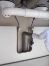 IMG_8685.jpeg