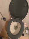 wc1.jpg