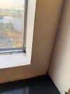 IMG_1349.jpeg
