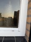 IMG_1348.jpeg
