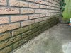 wall1.jpg