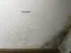 IMG_7994.JPG IMG_7994.JPG
