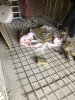 15B2DBA0-19DF-40C6-8081-24911E882600.jpeg