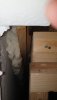 IMG-20210104-WA0023.jpeg