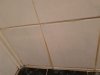 20210104_133818.jpg