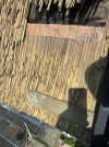 IMG_3062.jpeg