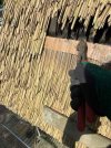 IMG_3063.jpeg