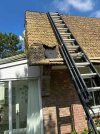 IMG_3071.jpeg