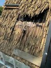 IMG_3073.jpeg
