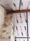 IMG_0977.jpeg