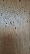 IMG-20260718-WA0008.jpeg